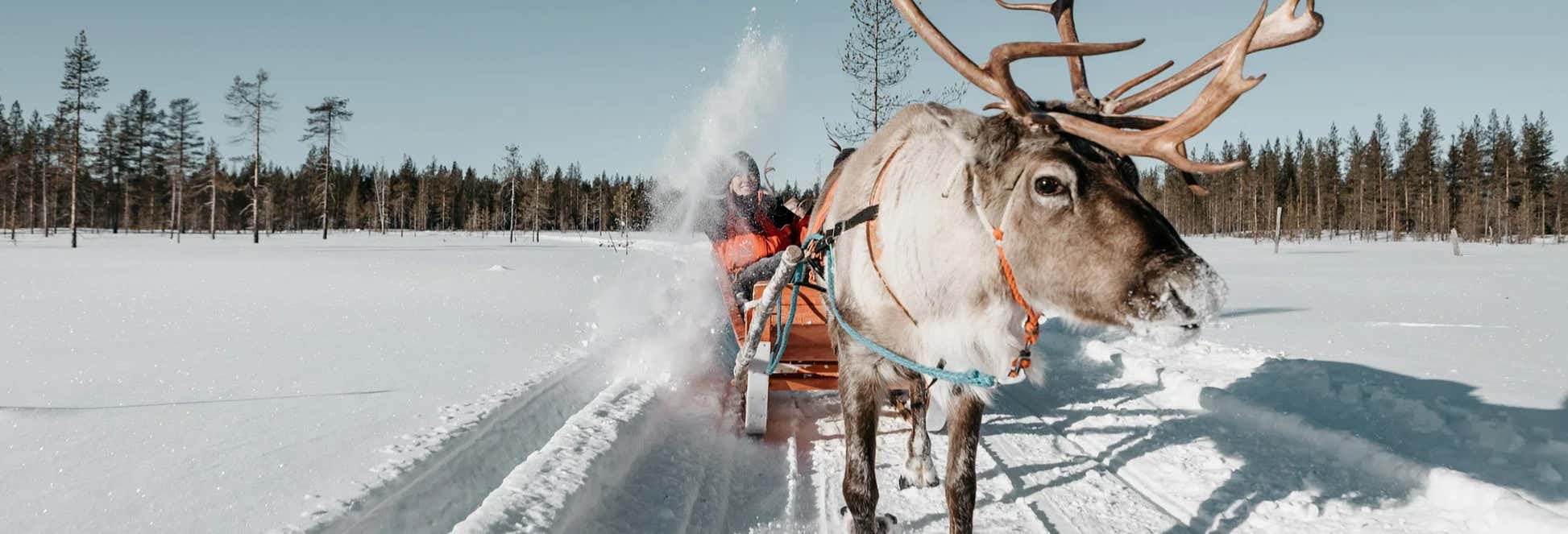 Giro in slitta a Rovaniemi