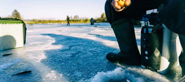 Pêche sur glace à Rovaniemi