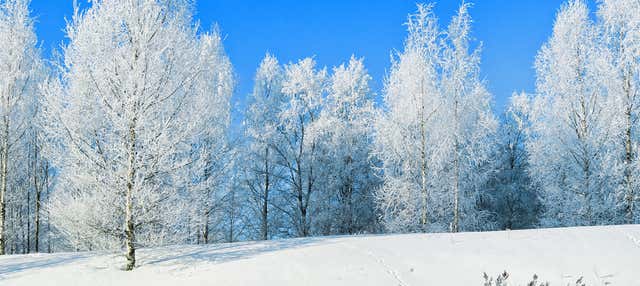 Senderismo por el Parque Nacional de Riisitunturi