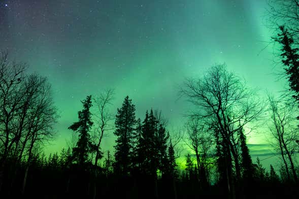 Tour de la aurora boreal