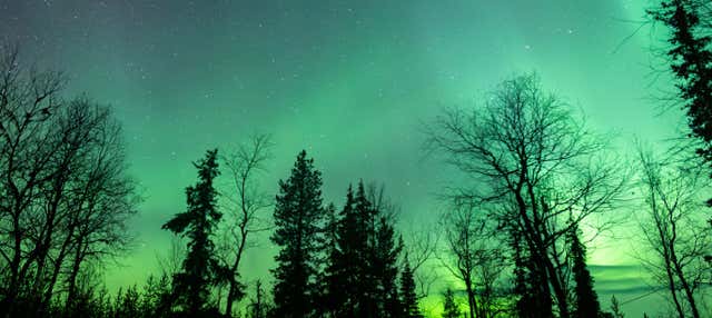 Tour de la aurora boreal