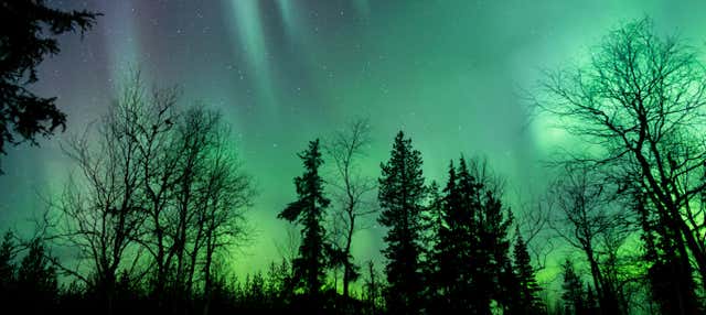 Tour de la aurora boreal VIP