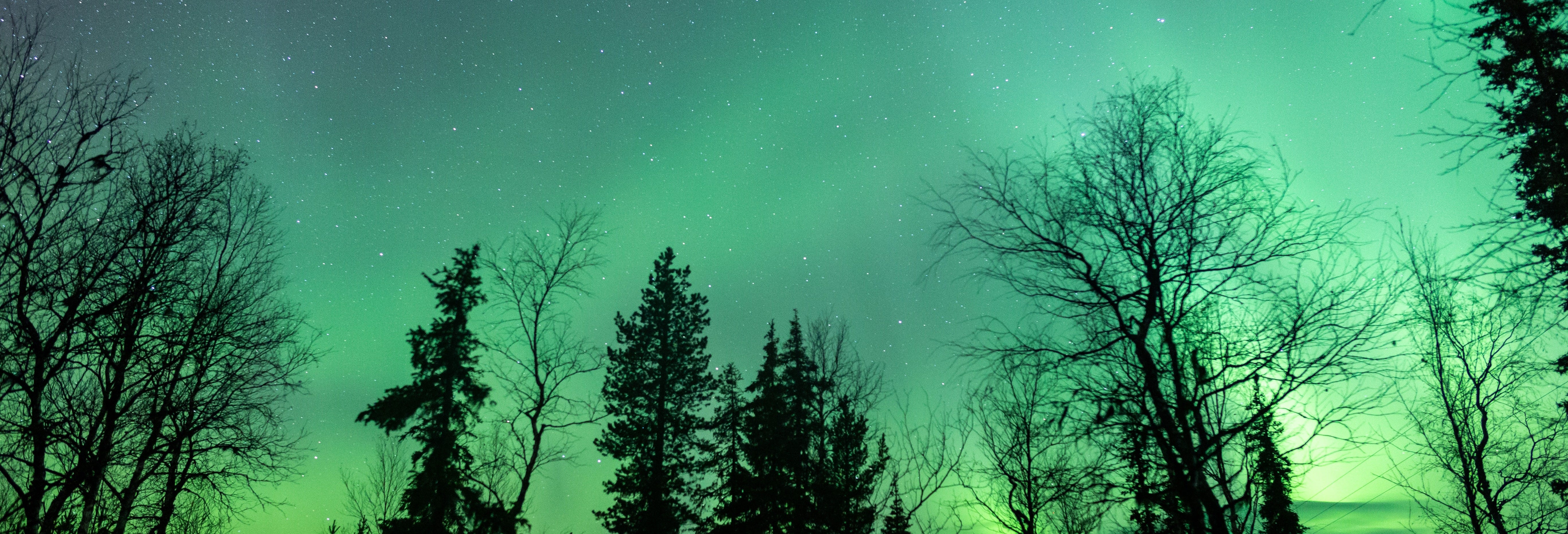 Stargazing in Rovaniemi