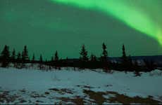 Tour fotográfico de la aurora boreal con barbacoa