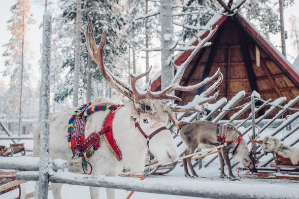 Aldea de Papá Noel + Paseo en trineo de renos