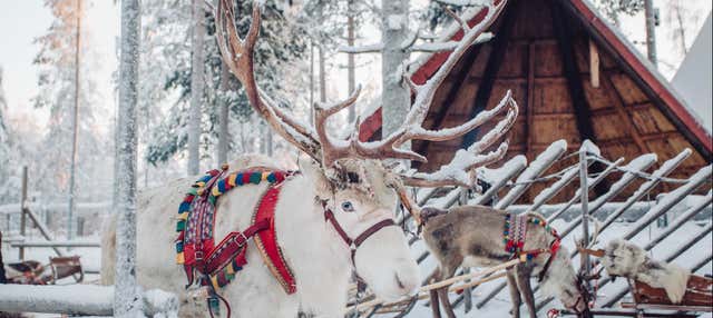 Aldea de Papá Noel + Paseo en trineo de renos