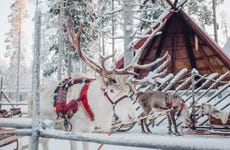 Village du Père Noël + Balade en traineau de rennes
