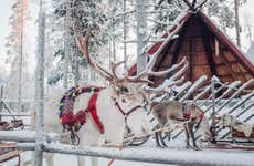 Aldea de Papá Noel + Paseo en trineo de renos