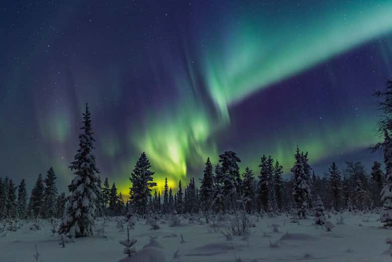 Admiring the Northern Lights