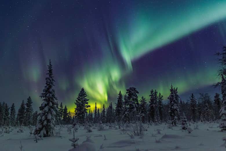 Contemplando de la aurora boreal