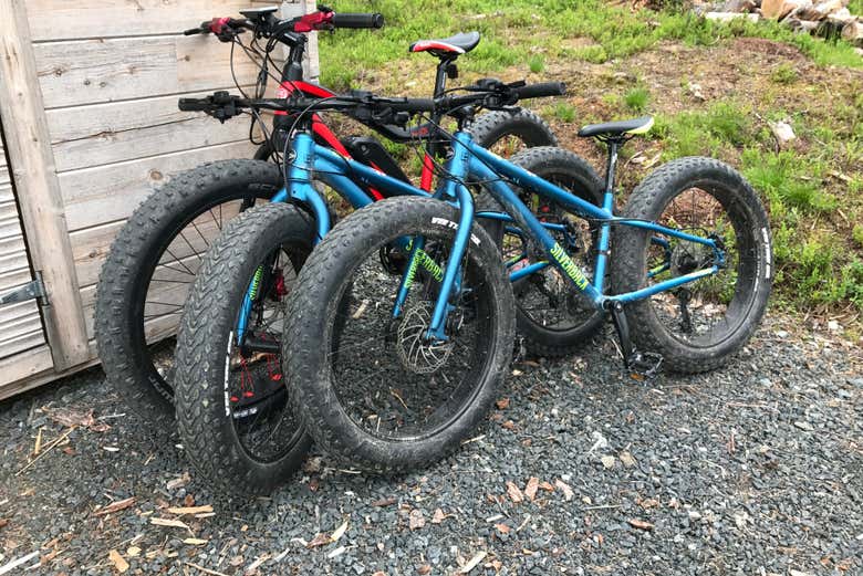 Le fat bike dell'attività