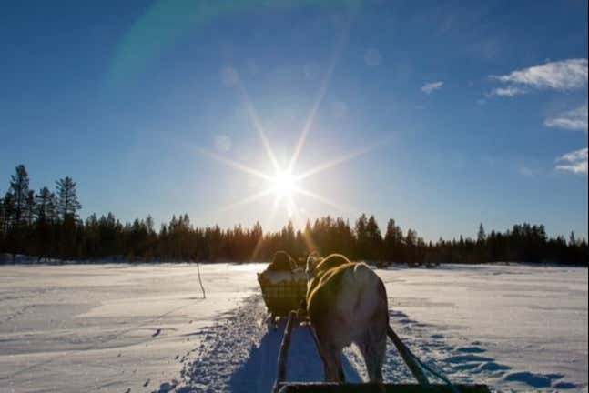Paseo en trineo de renos