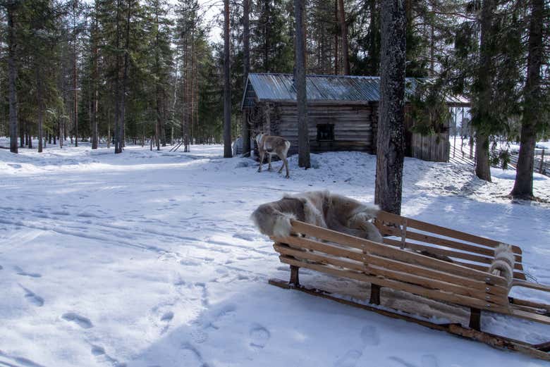 Una slitta con una casa di legno in secondo piano