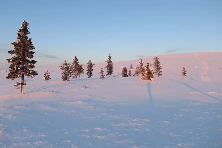 Saariselkä
