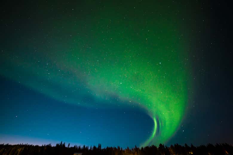 Aurora boreale nel cielo notturno