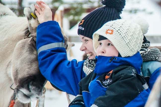 Petting a reindeer