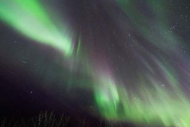 Admirando las luces del norte