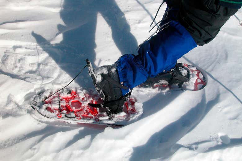 Detalles de las raquetas de nieve