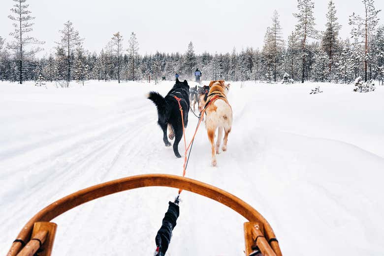 Disfrutando de los paisajes de Sirkka