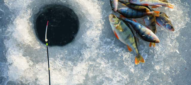 Pesca no gelo em Sirkka