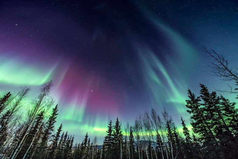 Passeio sob a aurora boreal com raquetes de neve