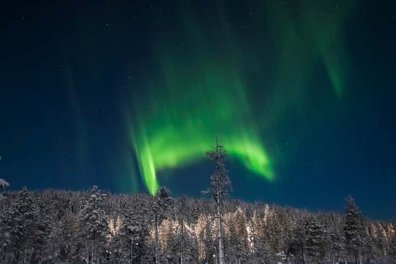 Contemplando l'aurora boreale durante l'itinerario