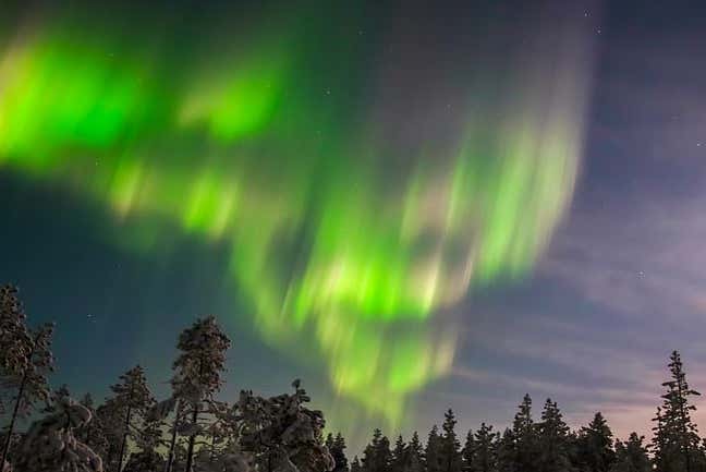 Disfrutando de la aurora boreal