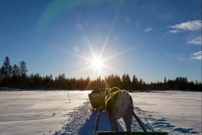 Esplorando i boschi innevati