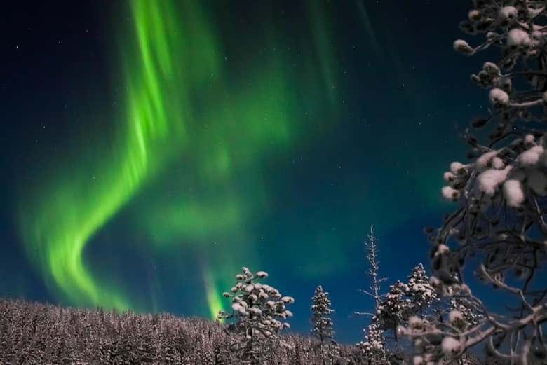 Ammirando l'aurora boreale