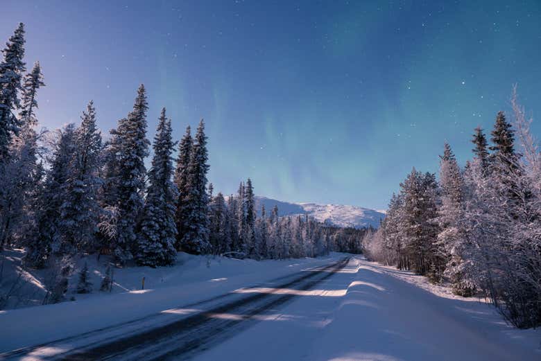Tour nella natura di Ylläsjärvi