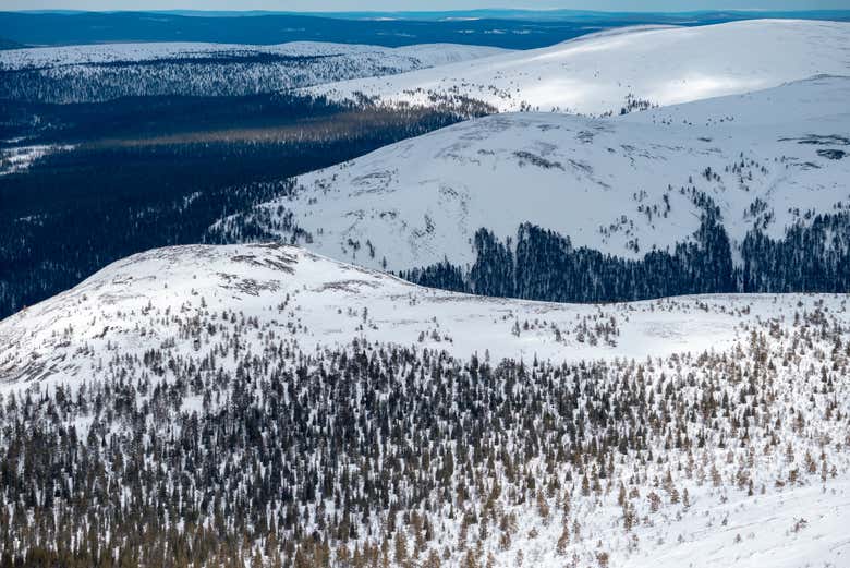 Parco Nazionale Pallas-Yllästunturi