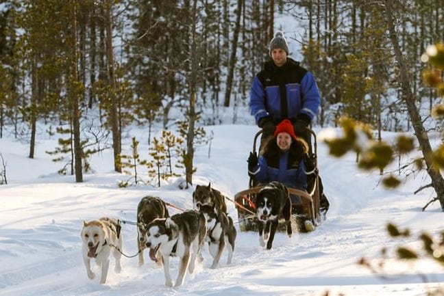 Husky dog sled ride in Ylläsjärvi
