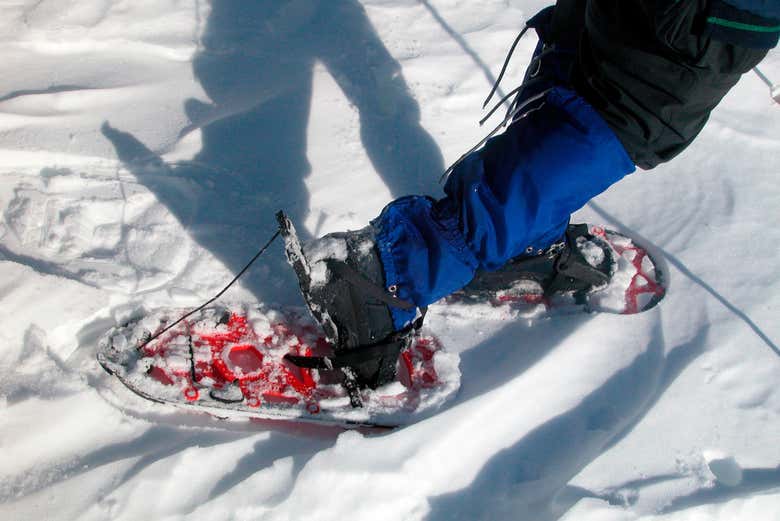 Tour con le racchette da neve