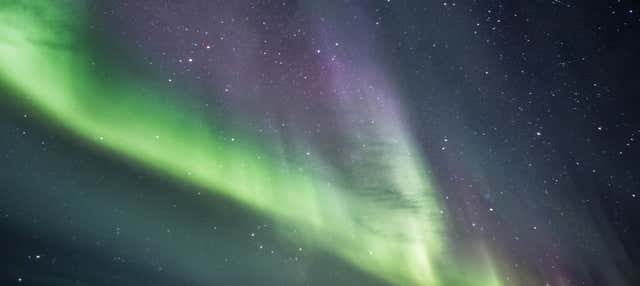 Giro in motoslitta sotto l'aurora boreale