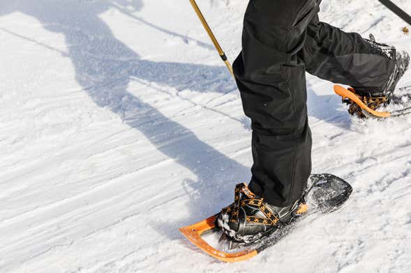 Passeio com raquetes de neve