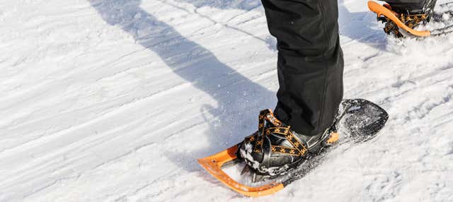 Balade en raquettes à neige