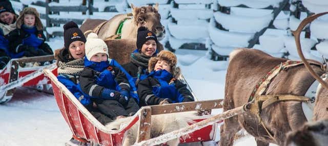 Giro in slitta trainata da renne