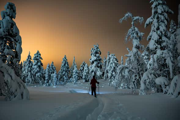 Tour da aurora boreal com raquetes de neve