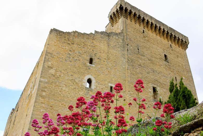 Castelo de Châteauneuf-du-Pape