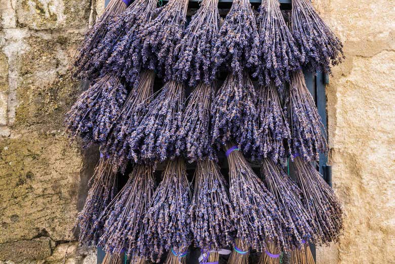 Lavanda