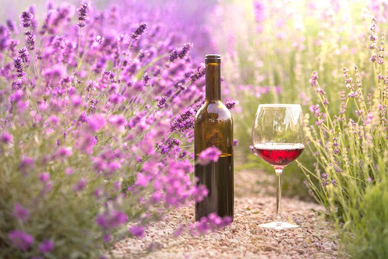 Un calice di vino in un campo di lavanda