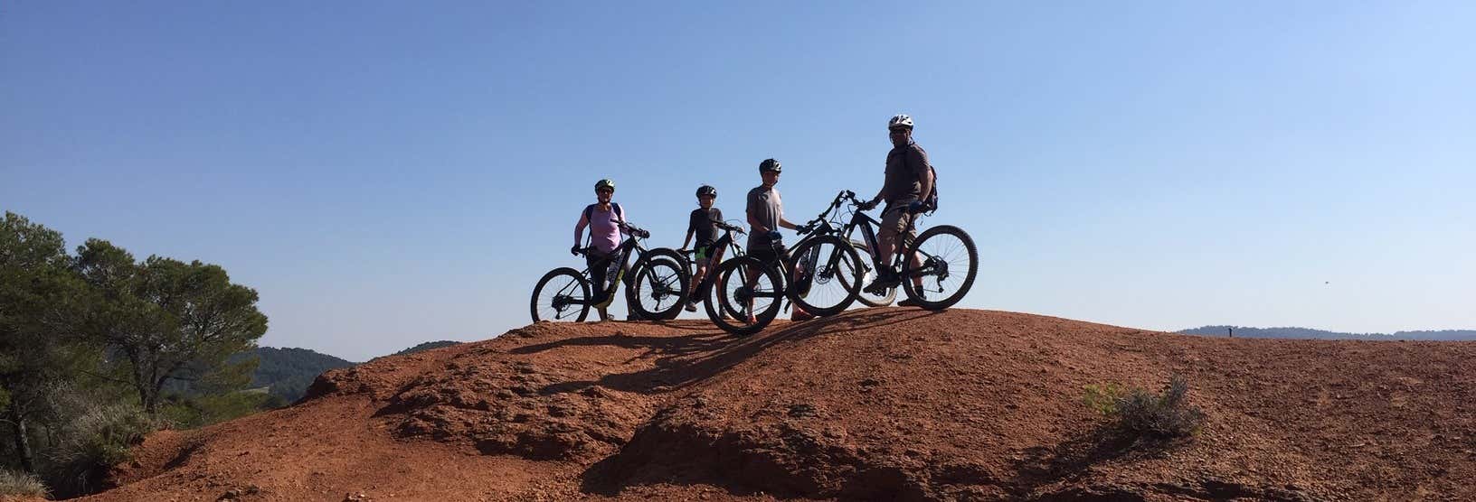 Visites guidées et free tours à Aix-en-Provence