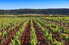 Tour del vino por Mont Sainte-Victoire