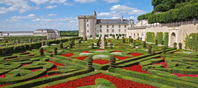 Visite des châteaux de Villandry et Azay-le-Rideau + Caves à vin de la Loire