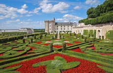 Tour of Chateaux de Villandry & Azay-le-Rideau + Loire Winery