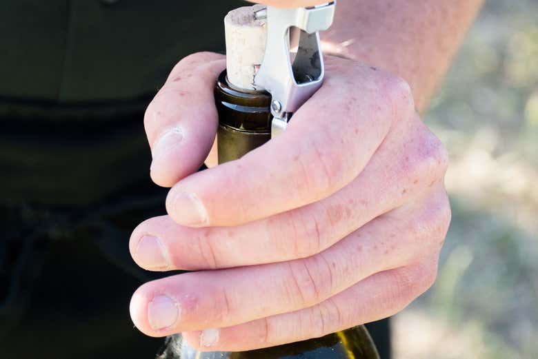 Provaremos seu vinho!