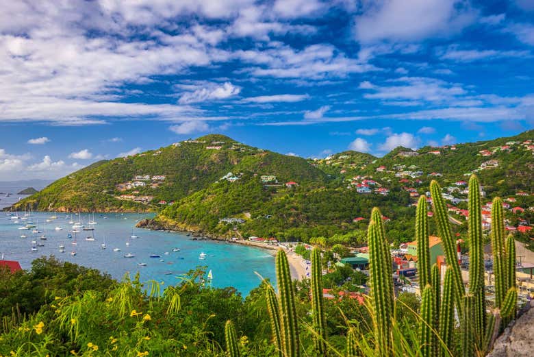 Visit private beaches in Gustavia
