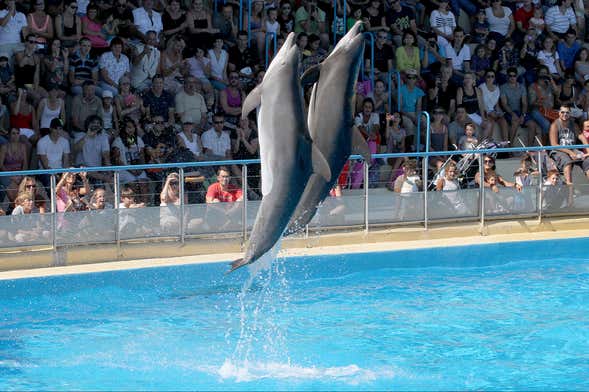 Billet pour Marineland Antibes