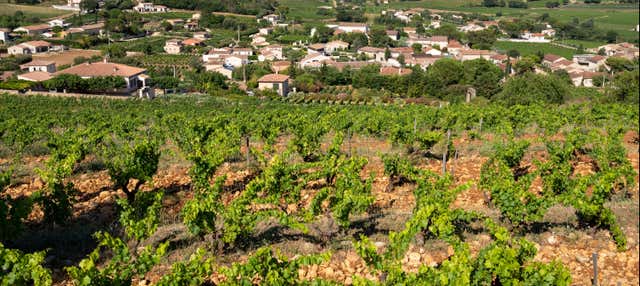 Excursión a Châteauneuf du Pape