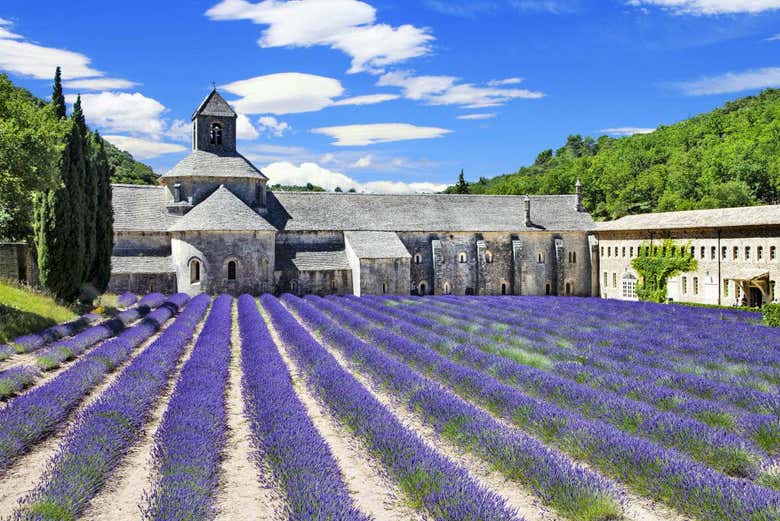 Campi di lavanda accanto all'abbazia Sénanque